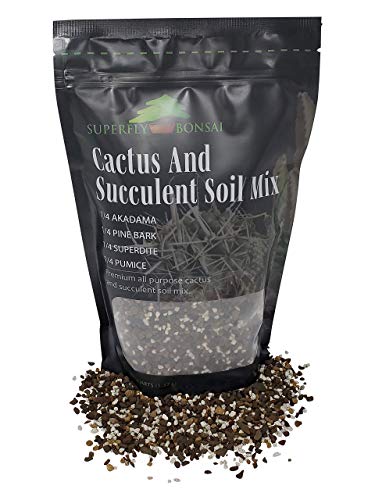 Succulent & Cactus Soil Mix - Premium Pre-Mixed Fast Draining Blend (2.5 Dry Quarts)