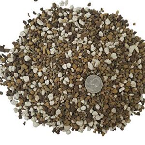 Succulent & Cactus Soil Mix - Premium Pre-Mixed Fast Draining Blend (2.5 Dry Quarts)