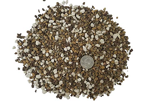 Succulent & Cactus Soil Mix - Premium Pre-Mixed Fast Draining Blend (2.5 Dry Quarts)