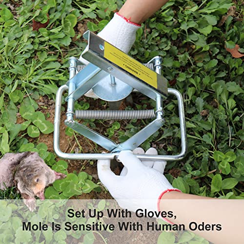 2 Pcs Mole Traps,Galvanized Steel Mole Scissor Trap,Reusable Mole Gopher Traps,Mole Killer,Easy Set Mole Eliminator Trap for Lawns