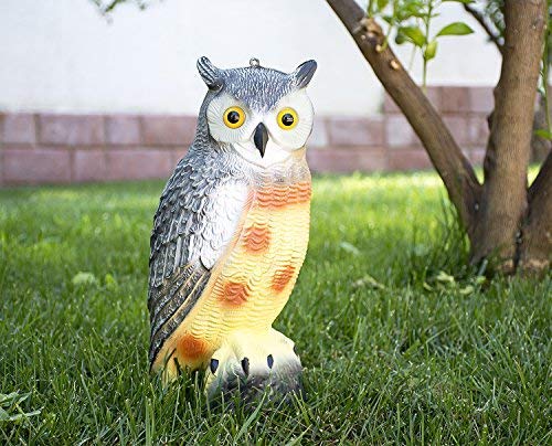 Large Scarecrow Owl Decoy Statue by briteNway – Realistic Fake Owl Outdoor Pest & Bird Deterrent, Hand-Painted Garden Protector, Scares Away Squirrels, Pigeons, Rabbits & More – 16,5” Hollow Design