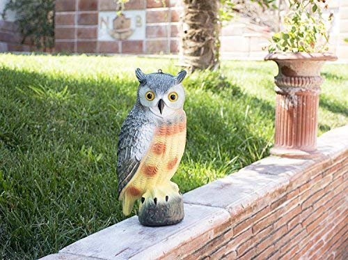 Large Scarecrow Owl Decoy Statue by briteNway – Realistic Fake Owl Outdoor Pest & Bird Deterrent, Hand-Painted Garden Protector, Scares Away Squirrels, Pigeons, Rabbits & More – 16,5” Hollow Design