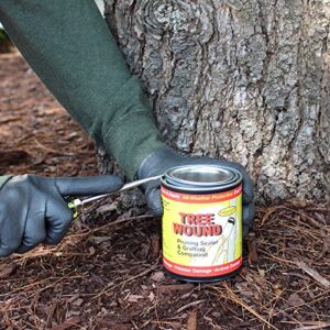 Tanglefoot Tree Wound Pruning Sealer & Grafting Compound