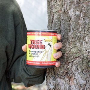 Tanglefoot Tree Wound Pruning Sealer & Grafting Compound