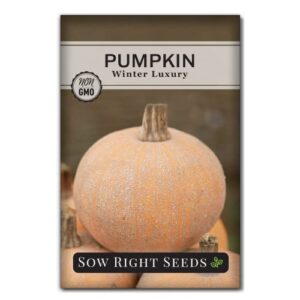 Sow Right Seeds - Winter Luxury Pumpkin Seeds for Planting - Non-GMO Heirloom Packet with Instructions to Plant & Grow an Outdoor Home Vegetable Garden - Vigorous Productive - Wonderful Gardening Gift