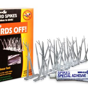 Bird-X, SP-10-NR Plastic Polycarbonate Bird Spikes Kit with Adhesive Glue, Covers 10 feet