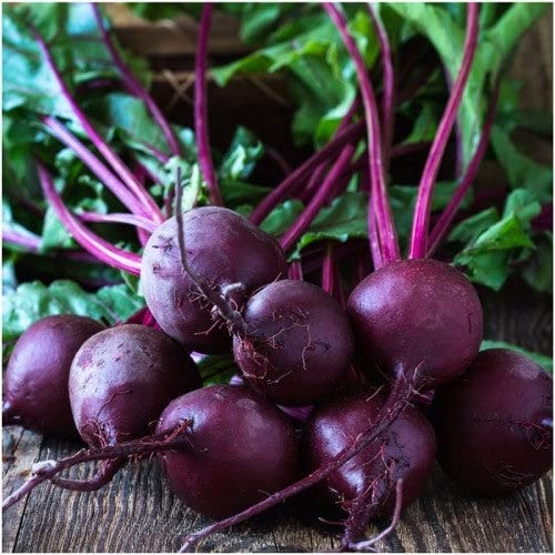 1200 Early Wonder Tall Top Beet Seeds for Planting 1 Ounce of Seeds Non GMO and Heirloom Survival Vegetable Garden