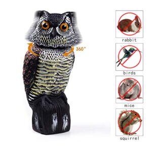 Hedoc Fake Owl Decoys to Scare Birds Away, Rotating Head Sculptures, Nature Enemy Scarecrow Plastic Statues, Pest Repellent, Bird Control and Pigeon Deterrent Outdoor Yard, Garden Protectors