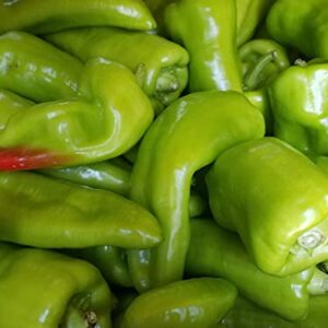 Cubanelle (Capsicum annuum.) 250mg Seeds for Planting, Pepper-Sweet, Italian Frying Pepper, Cuban Pepper., Pimiento de Cocinar de Cocinar, Open Pollinated, Non GMO, Vegetable Garden