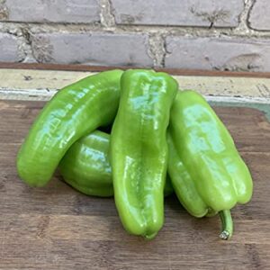 Cubanelle (Capsicum annuum.) 250mg Seeds for Planting, Pepper-Sweet, Italian Frying Pepper, Cuban Pepper., Pimiento de Cocinar de Cocinar, Open Pollinated, Non GMO, Vegetable Garden