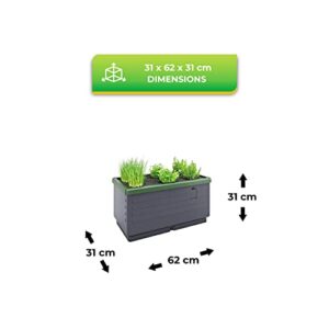 Bio Green JGL City Jungle Basic Model Plant Support, Charcoal Grey/Green
