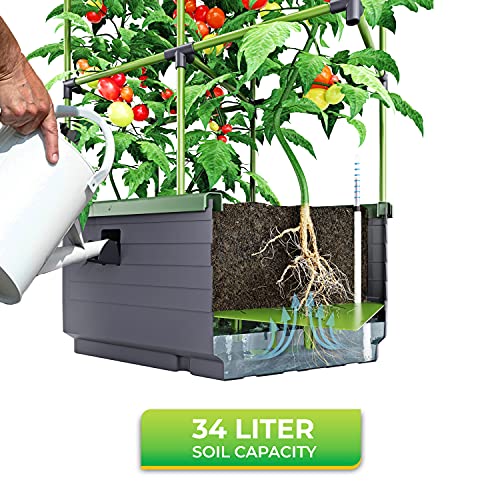 Bio Green JGL City Jungle Basic Model Plant Support, Charcoal Grey/Green