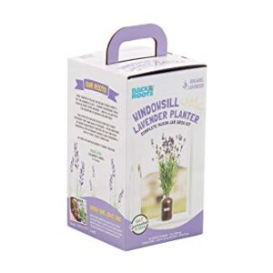 Back to the Roots Lavender Organic Windowsill Planter Kit - Grows Year Round, Includes Everything Needed for Planting