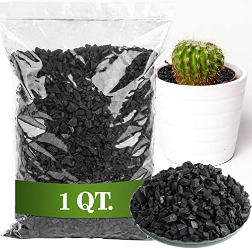 Sukh Horticultural Charcoal for Plants - 1Qt. Natural Earth Regulated Supplement for Potting Soil Indoor Plants, Succulent Soil, Orchid Potting Soil, Paphiopedilum, Bonsai, Terrarium.