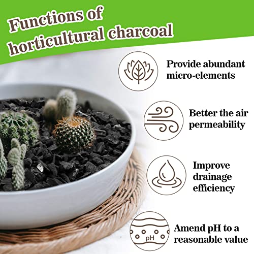 Sukh Horticultural Charcoal for Plants - 1Qt. Natural Earth Regulated Supplement for Potting Soil Indoor Plants, Succulent Soil, Orchid Potting Soil, Paphiopedilum, Bonsai, Terrarium.