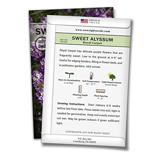 Sow Right Seeds - Sweet Alyssum Flower Seeds for Planting, Beautiful Flowers to Plant in Your Garden; Non-GMO Heirloom Seeds; Wonderful Gardening Gifts (1)