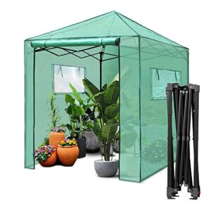 pexfix 6’x 5′ portable walk-in greenhouse easy setup,indoor outdoor greenhouse garden green houses instant pop-up greenhouse,2 roll-up mesh windows and roll-up zipper door,green