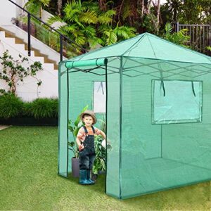 PexFix 6'x 5' Portable Walk-in Greenhouse Easy Setup,Indoor Outdoor Greenhouse Garden Green Houses Instant Pop-up Greenhouse,2 Roll-Up Mesh Windows and Roll-up Zipper Door,Green