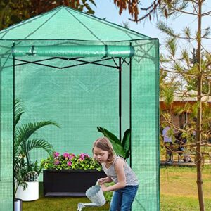 PexFix 6'x 5' Portable Walk-in Greenhouse Easy Setup,Indoor Outdoor Greenhouse Garden Green Houses Instant Pop-up Greenhouse,2 Roll-Up Mesh Windows and Roll-up Zipper Door,Green