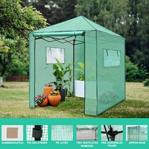 PexFix 6'x 5' Portable Walk-in Greenhouse Easy Setup,Indoor Outdoor Greenhouse Garden Green Houses Instant Pop-up Greenhouse,2 Roll-Up Mesh Windows and Roll-up Zipper Door,Green