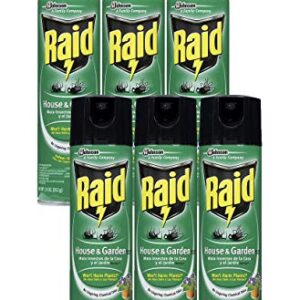 Raid House Garden Bug Killer, 11 OZ (6)