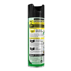 Raid House Garden Bug Killer, 11 OZ (6)