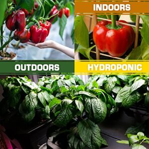 Most Popular Vegetable, Sweet and Hot Pepper Seeds for Gardening Outdoor, Indoor and Hydroponics - Total 20 Individual Bags with Heirloom, Non GMO and USA Grown Seeds