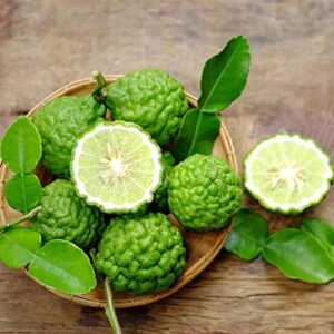 QAUZUY GARDEN 3 Makrut Kaffir Lime Seeds (Citrus Hystrix) - Fragrant Edible Leaves - Perennial Tropical Exotic Fruit Tree - Great for Container Pot - Easy to Grow