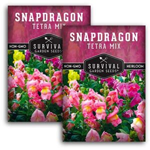 survival garden seeds – snapdragon tetra mix seed for planting – 2 packs with instructions to plant and grow beautiful colorful flowers in your home vegetable garden – non-gmo heirloom variety