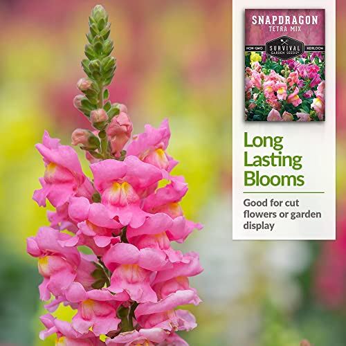 Survival Garden Seeds - Snapdragon Tetra Mix Seed for Planting - 2 Packs with Instructions to Plant and Grow Beautiful Colorful Flowers in Your Home Vegetable Garden - Non-GMO Heirloom Variety