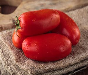david’s garden seeds tomato paste roma determinate san marzano 4129 (red) 25 non-gmo, heirloom seeds