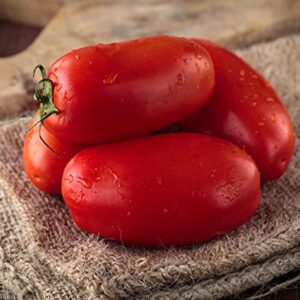 David's Garden Seeds Tomato Paste Roma Determinate San Marzano 4129 (Red) 25 Non-GMO, Heirloom Seeds