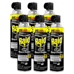 raid wasp and hornet killer (17.5 oz pack – 6)