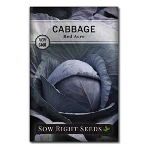 sow right seeds – red acre cabbage seed for planting – non-gmo heirloom packet with instructions to plant an outdoor home vegetable garden – great gardening gift (1)