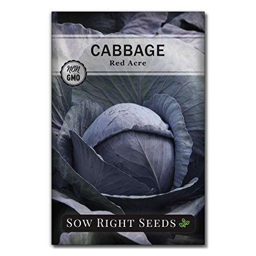 Sow Right Seeds - Red Acre Cabbage Seed for Planting - Non-GMO Heirloom Packet with Instructions to Plant an Outdoor Home Vegetable Garden - Great Gardening Gift (1)