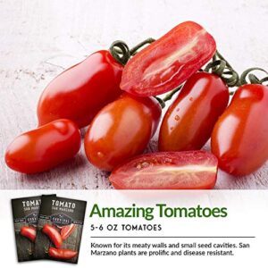 Survival Garden Seeds - San Marzano Tomato Seed for Planting - Packet with Instructions to Plant and Grow Tomatoes in Your Home Vegetable Garden - Non-GMO Heirloom Variety - 4 Packs