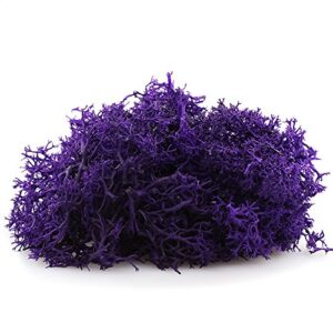 NW Wholesaler 1 LB Purple Preserved Reindeer Moss - Indoor Outdoor for Potted Plants, Terrariums, Fairy Gardens, Arts and Crafts or Floral Decor Design