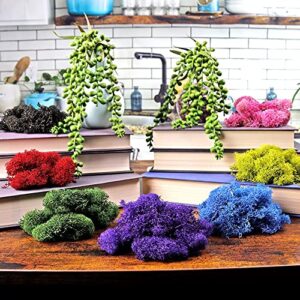 NW Wholesaler 1 LB Purple Preserved Reindeer Moss - Indoor Outdoor for Potted Plants, Terrariums, Fairy Gardens, Arts and Crafts or Floral Decor Design