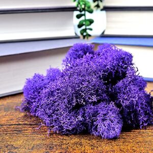 NW Wholesaler 1 LB Purple Preserved Reindeer Moss - Indoor Outdoor for Potted Plants, Terrariums, Fairy Gardens, Arts and Crafts or Floral Decor Design