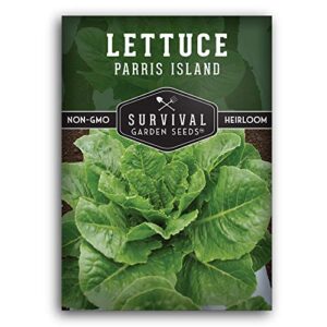 survival garden seeds – parris island cos lettuce seed for planting – packet with instructions to plant and grow romaine style head lettuce in your home vegetable garden – non-gmo heirloom variety