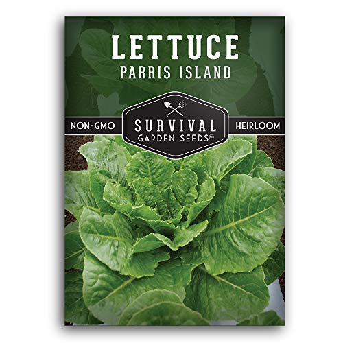 Survival Garden Seeds - Parris Island Cos Lettuce Seed for Planting - Packet with Instructions to Plant and Grow Romaine Style Head Lettuce in Your Home Vegetable Garden - Non-GMO Heirloom Variety