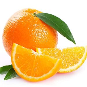 qauzuy garden 10 seeds orange seeds – organic non-gmo sweet orange seeds – sweet fragrant citrus sinensis fruits – grow your own delicious fruit tree