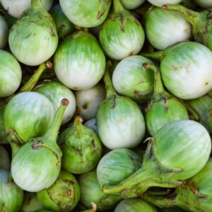 100 eggplant thai seeds asian vegetable seeds for garden