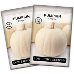 sow right seeds – casper pumpkin seed for planting – non-gmo heirloom packets with instructions to plant a home vegetable garden (2)