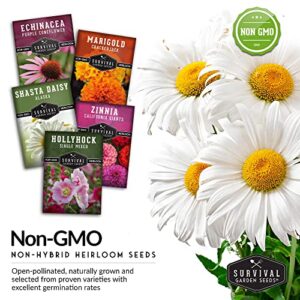 Survival Garden Seeds Beautiful Flower Collection - Hollyhock, Shasta Daisy, Purple Coneflower (Echinacea), Crackerjack Marigold, California Giant Zinnia - Non-GMO Heirloom Seeds