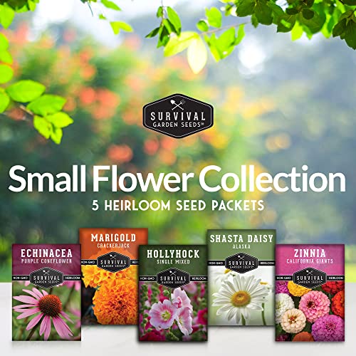 Survival Garden Seeds Beautiful Flower Collection - Hollyhock, Shasta Daisy, Purple Coneflower (Echinacea), Crackerjack Marigold, California Giant Zinnia - Non-GMO Heirloom Seeds