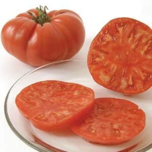 David's Garden Seeds Tomato Beefsteak Indeterminate Brandywine Red FBA-4538 (Red) 25 Non-GMO, Heirloom Seeds