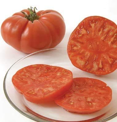 David's Garden Seeds Tomato Beefsteak Indeterminate Brandywine Red FBA-4538 (Red) 25 Non-GMO, Heirloom Seeds