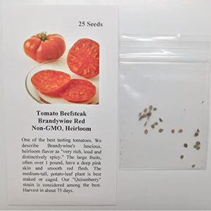 David's Garden Seeds Tomato Beefsteak Indeterminate Brandywine Red FBA-4538 (Red) 25 Non-GMO, Heirloom Seeds