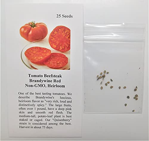 David's Garden Seeds Tomato Beefsteak Indeterminate Brandywine Red FBA-4538 (Red) 25 Non-GMO, Heirloom Seeds